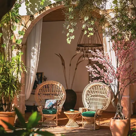 Jade (adults Only) 2*